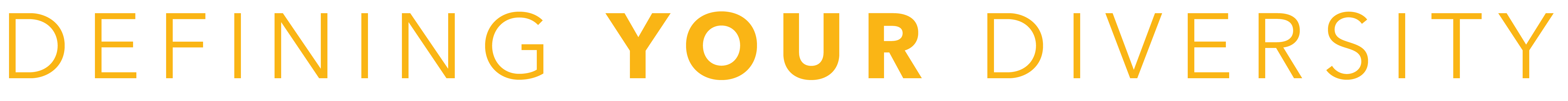 Defining Your Diversity