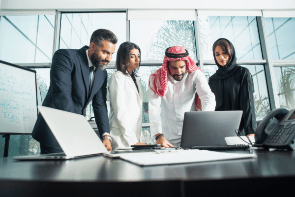 What is Emiratisation?