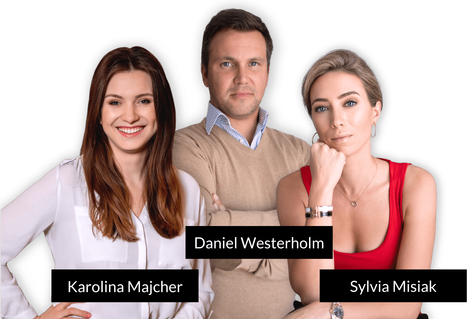 Platinum Career Coaches 2 Platinum Career Coaches - DNA Recruitment